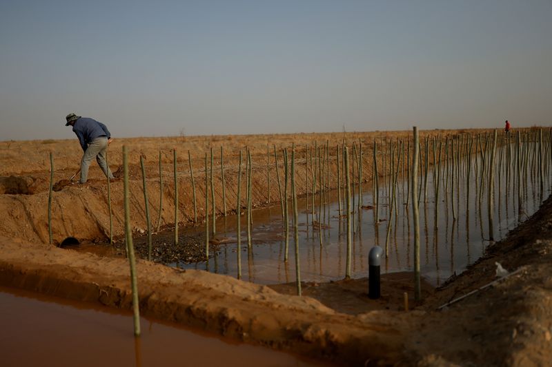 "China's Food Security Challenged by Land, Soil, and Water Issues"