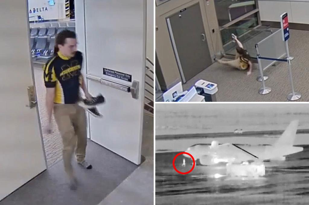 Featured image for Disturbed Passenger's Final Moments Captured in New Video Before Tragic Death in Plane Engine