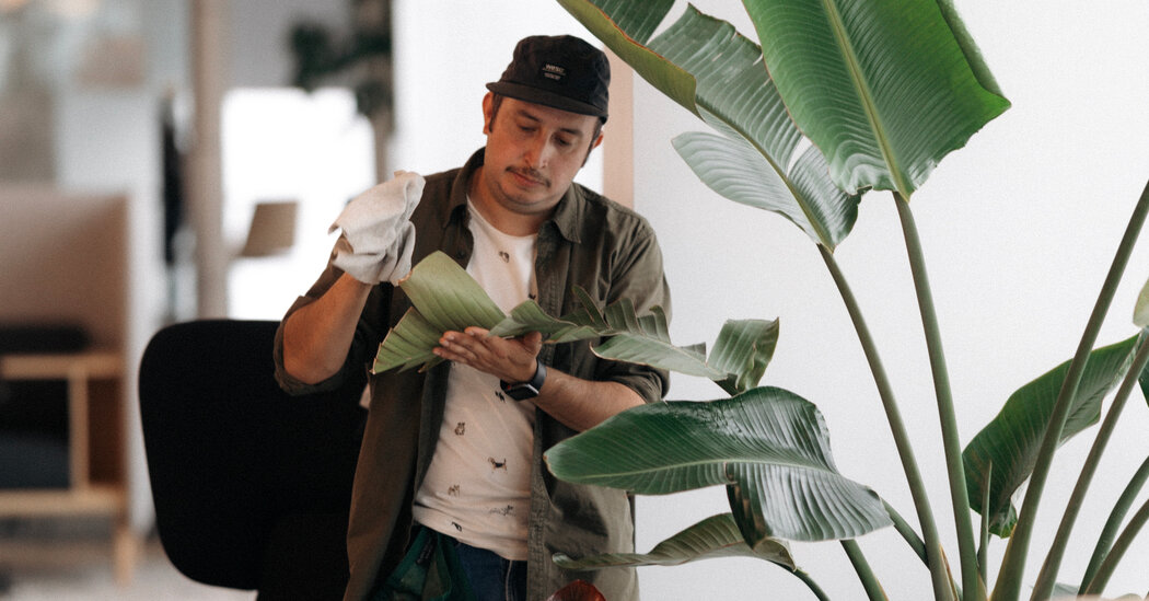 Featured image for Plant People: The Next Generation of Plant Keepers