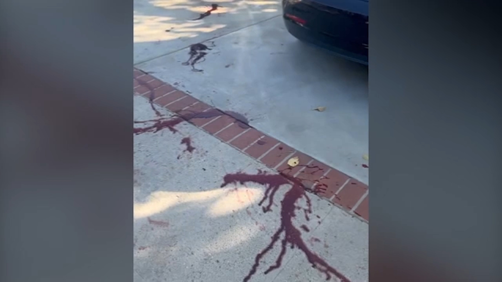 Featured image for Protesters Target Jewish Family and AIPAC President's Homes with Smoke Bombs and Accusations