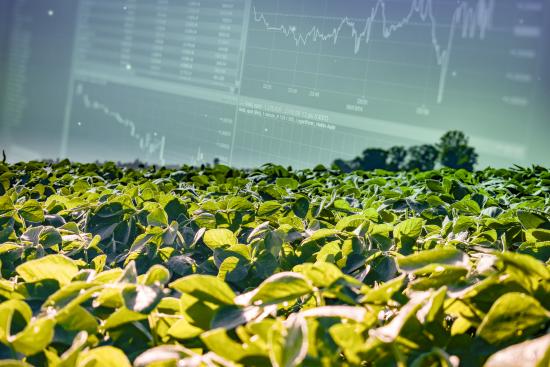 Featured image for Corn and Soybean Markets Face Oversupply Challenges Amidst China's Shift to Cheaper Imports