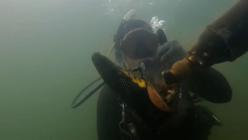 Featured image for Surprising Discovery: Scuba Diver Finds Unusual Object in Lake
