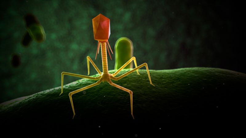 Featured image for "The Microscopic War Within: A Solution to the Superbug Crisis?"