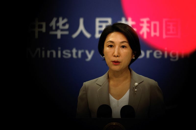 China's Willingness to Collaborate with Argentina Remains Strong Despite Criticism from President-Elect Milei