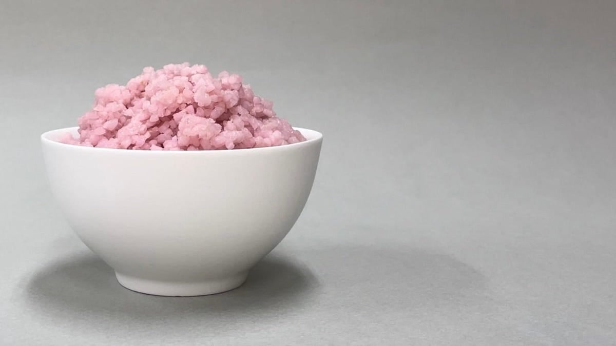 Featured image for "Rice-Grown Beef: A Sustainable Protein Source?"