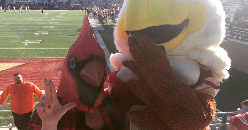Featured image for "Friday Cardinal News: Game Picks and What to Watch for in Louisville vs. Boston College Football"