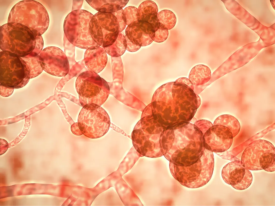 Featured image for "Rapid Spread of Superbug Infection in California and Across the United States: Latest Data Revealed"