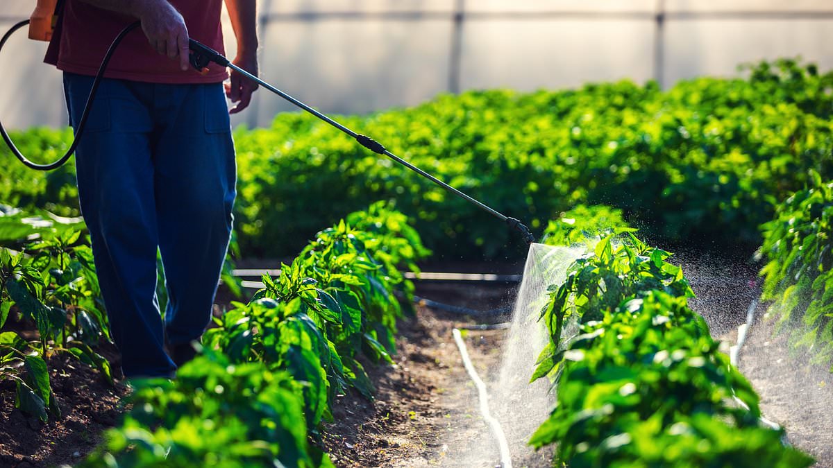 Featured image for "Iowa's Cancer Crisis: Exploring the Link Between Agriculture and High Cancer Rates"