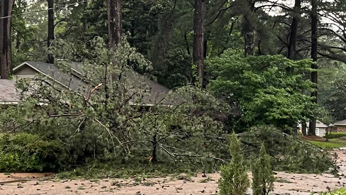 "Jackson Declares Local Emergency After Storm Damage"