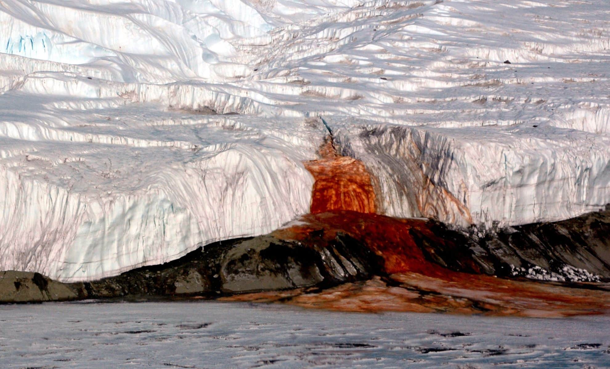 Featured image for Scientists Discover Blood-Red Waterfall in Antarctica