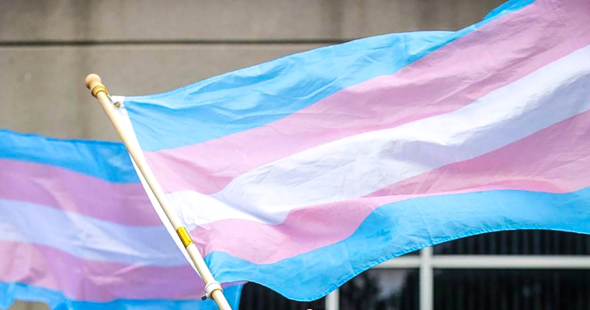 "Survey Reveals Improved Life Satisfaction and Ongoing Challenges for Transgender Americans"