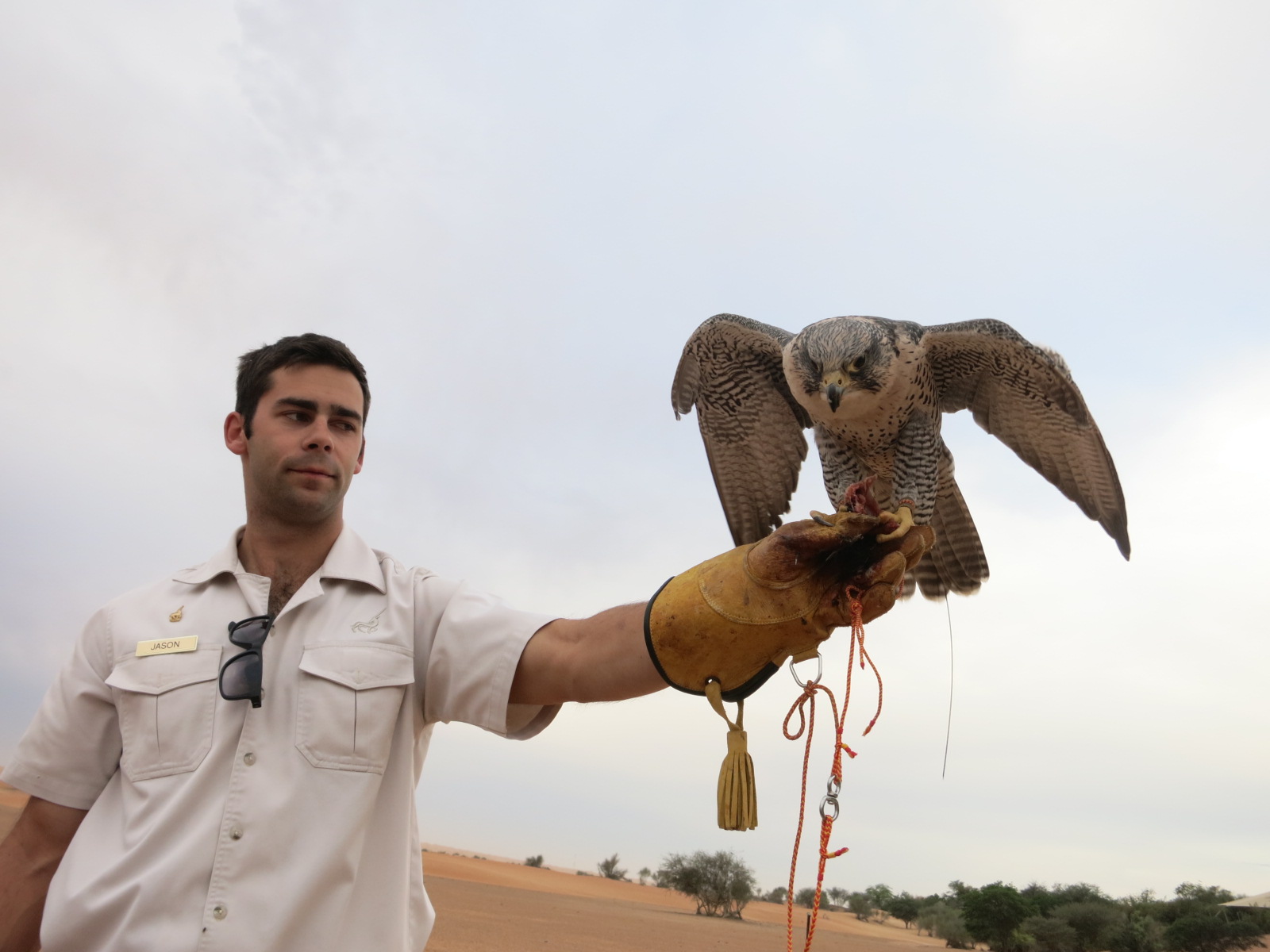 Featured image for Reconsidering the Case Against Travel