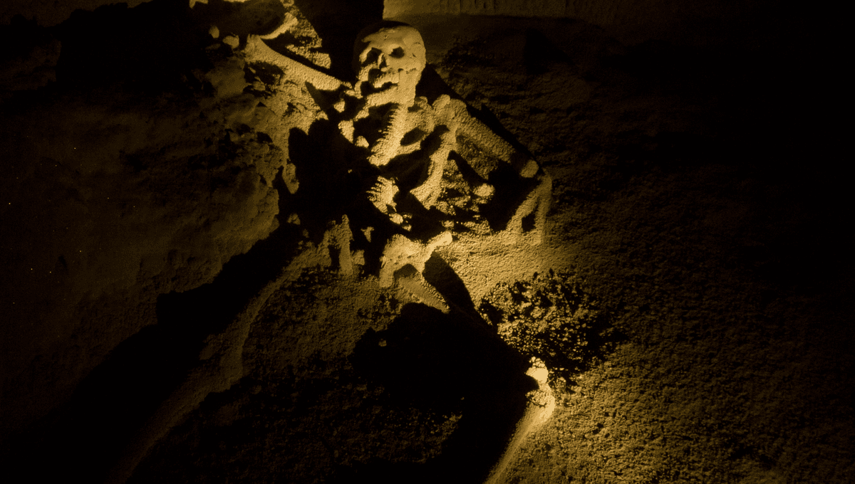 Featured image for Unraveling the Mystery of the Crystal Maiden Skeleton.