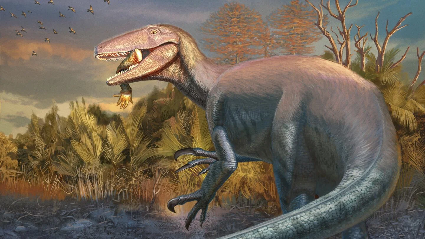 New Megaraptor Species Discovered with Crocodile Remains in Its Mouth