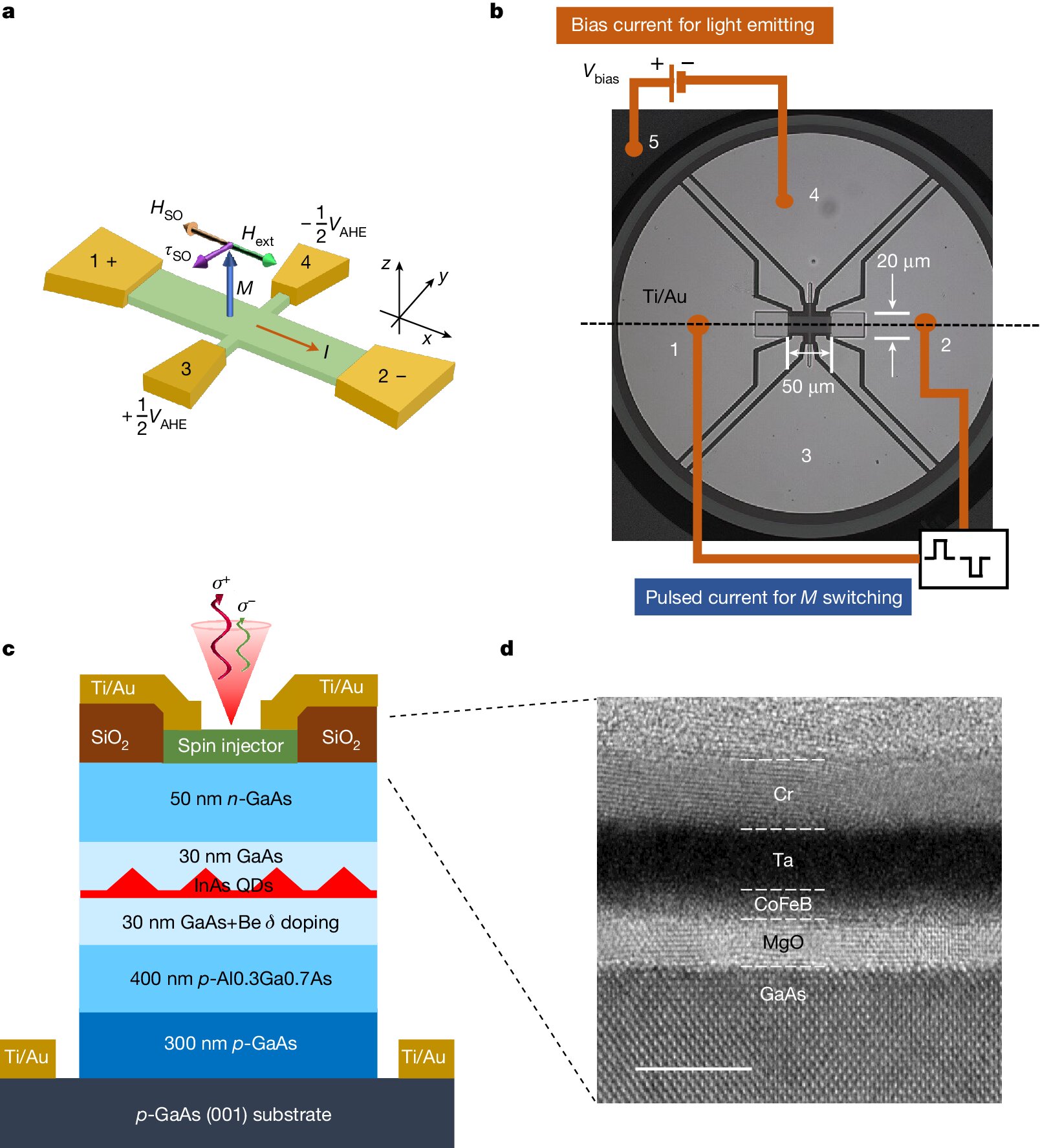 Featured image for "Light-Speed Transfer: Electron Spin Transport from Earth to Mars"