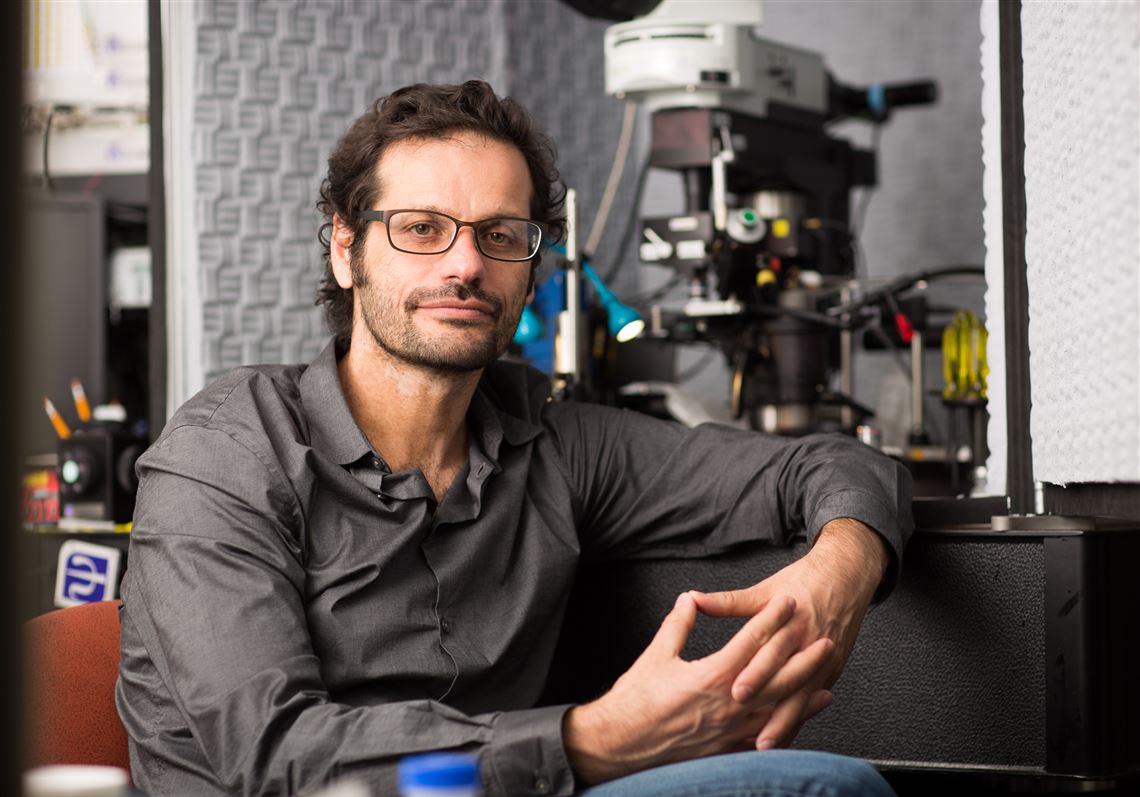 Featured image for "Zinc's Role in Preventing Noise-Induced Hearing Loss Uncovered"