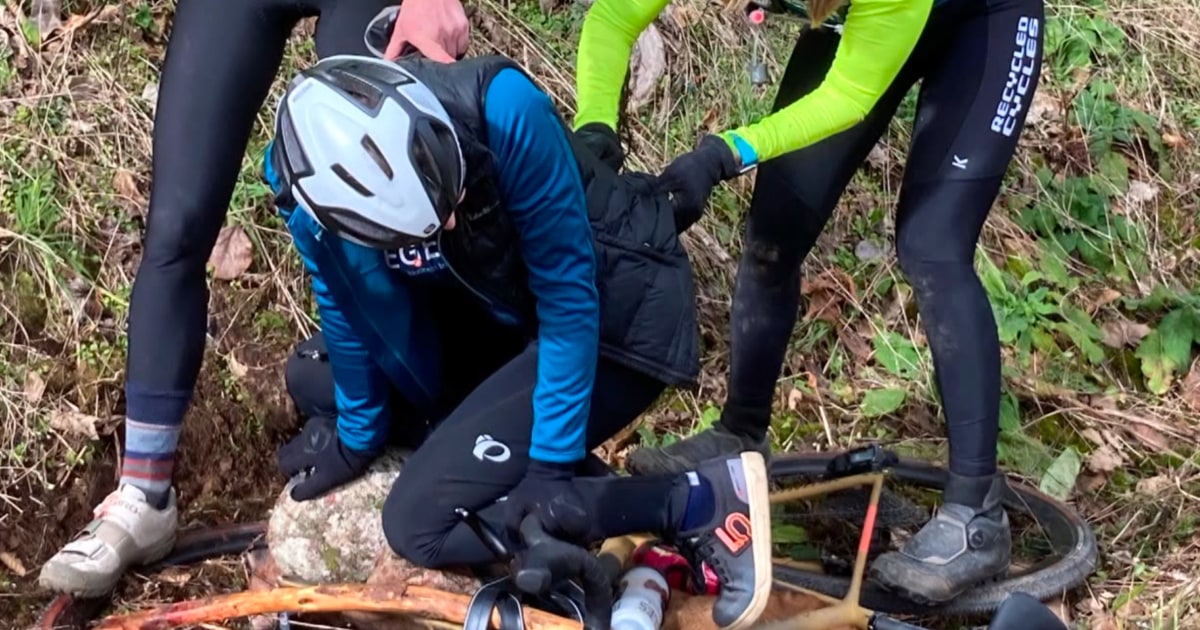 Featured image for Cyclists' Harrowing 45-Minute Battle to Save Friend from Cougar Attack