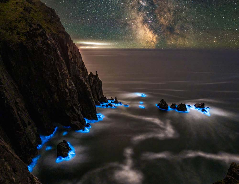 Featured image for Celestial and Aquatic Spectacles Illuminate Oregon/Washington Coast