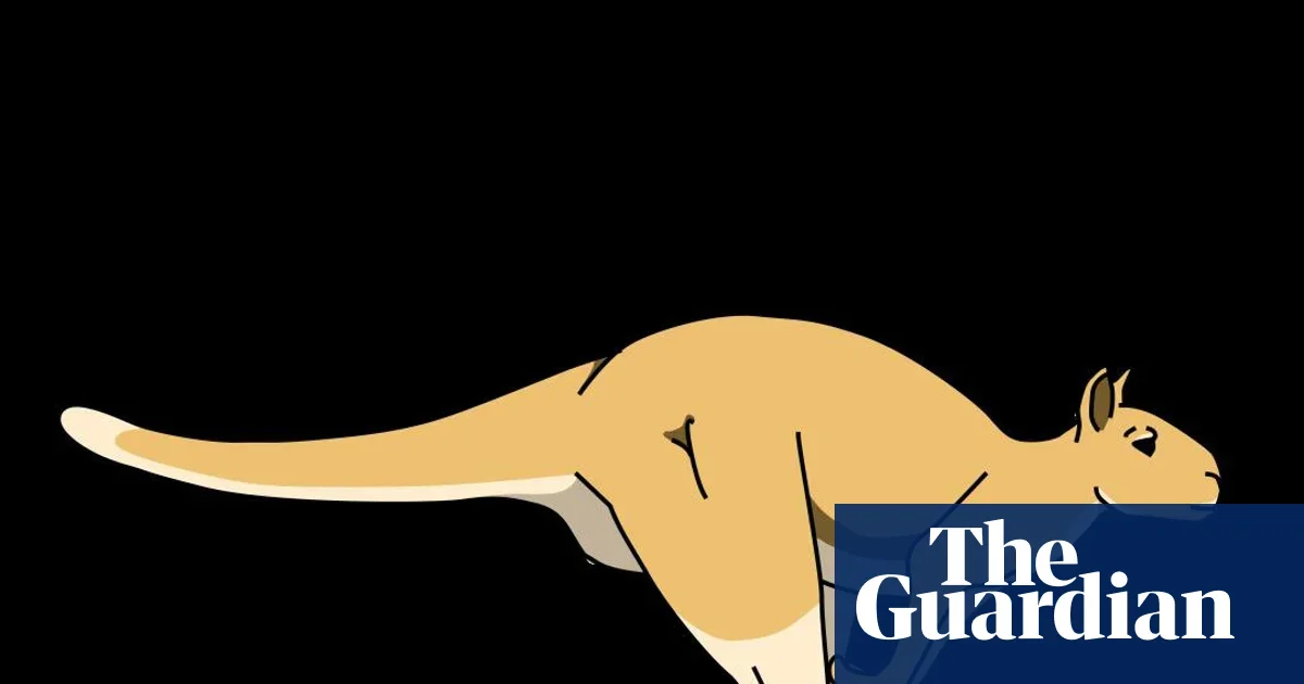 Giant 250kg Kangaroos Likely Hoped, Fossils Suggest