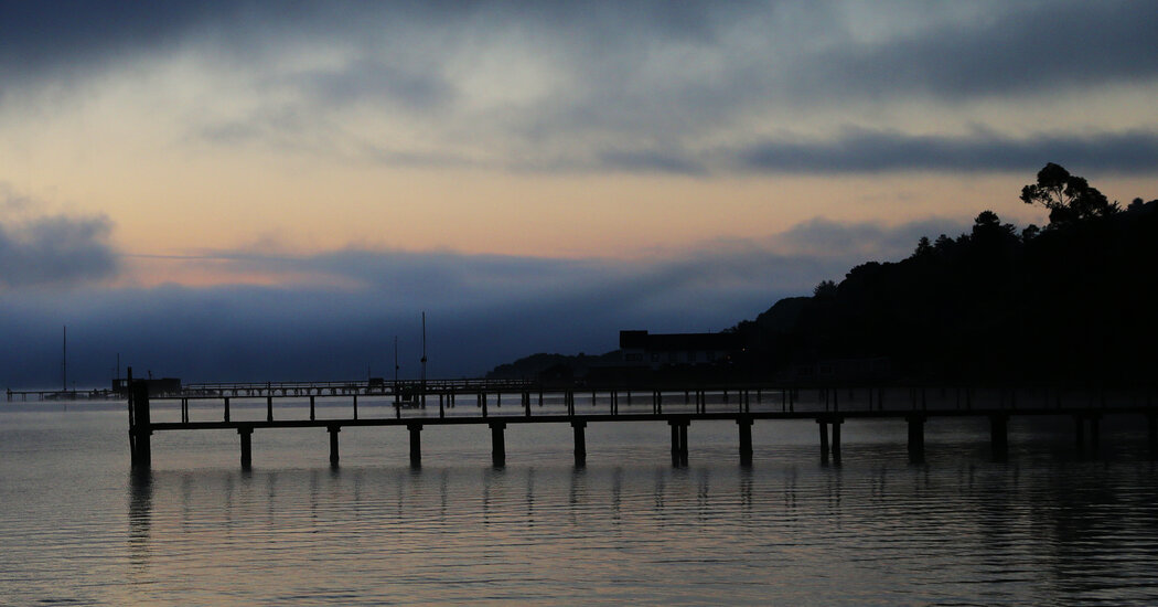 Preserving the Night: Bay Area Community Fights for Dark Skies