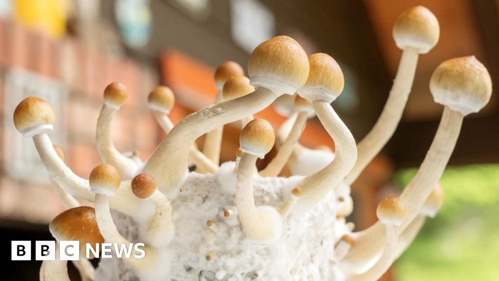 "Breakthrough: Australia Embraces Psychedelics for Mental Health Treatment"