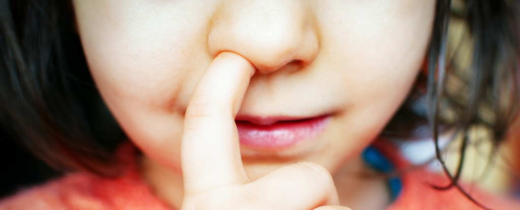 Featured image for Nose-Picking in Mice Linked to Alzheimer's Risk