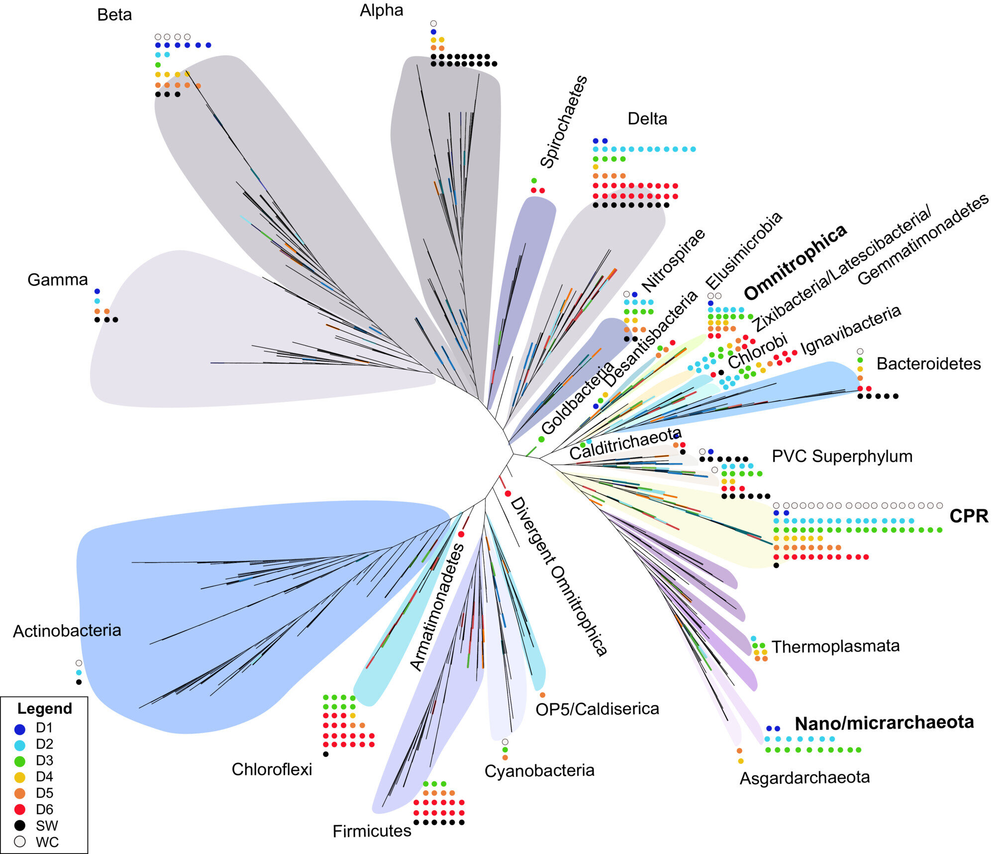Featured image for Subterranean Microbes: Embracing Minimalism or Maximizing Potential?