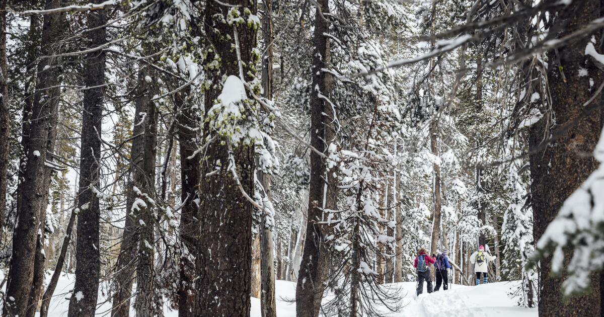 Featured image for California's Snowpack Continues to Lag Below Average Despite Modest Improvement