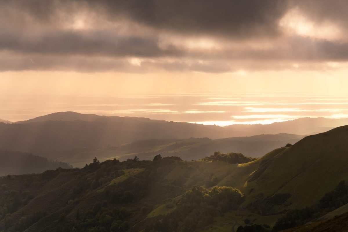 Featured image for "Disappointing Affirmations for a Quick Pick-Me-Up"