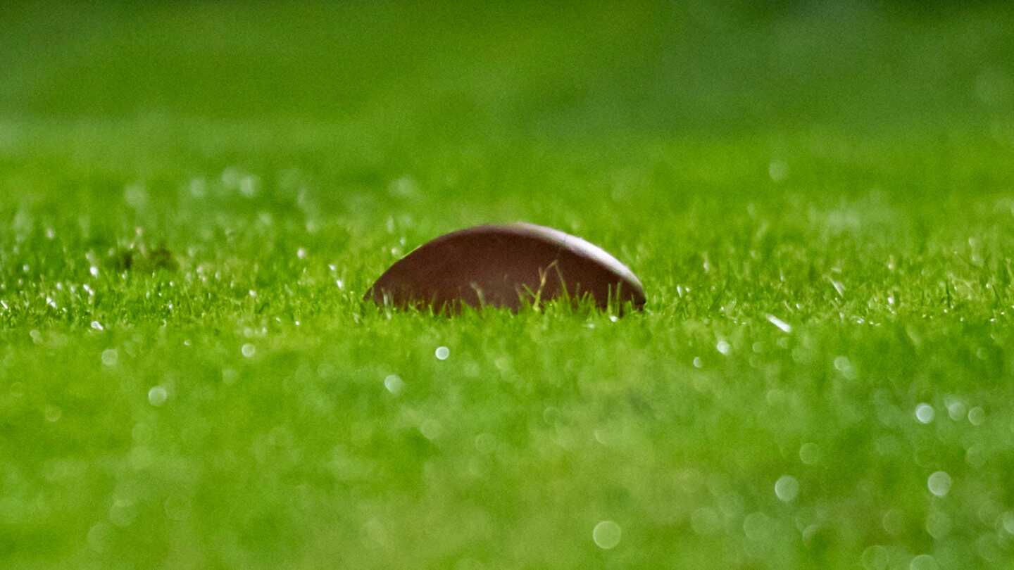 Featured image for "NFL Players Union Responds to Goodell's Claim About 49ers' Practice Field Concerns"