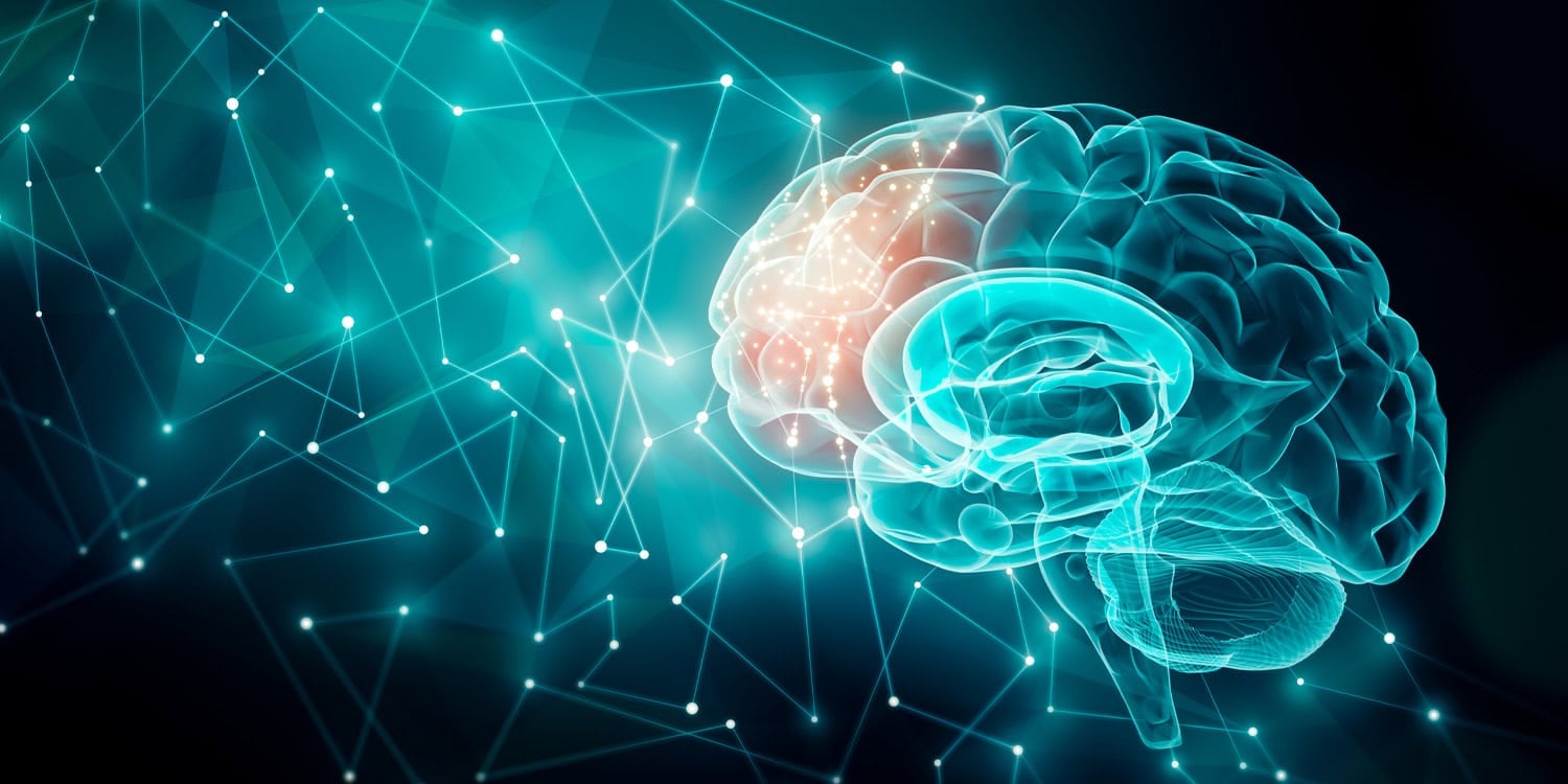 Featured image for 2025's Key Neuroscience Insights and Predictions for 2026