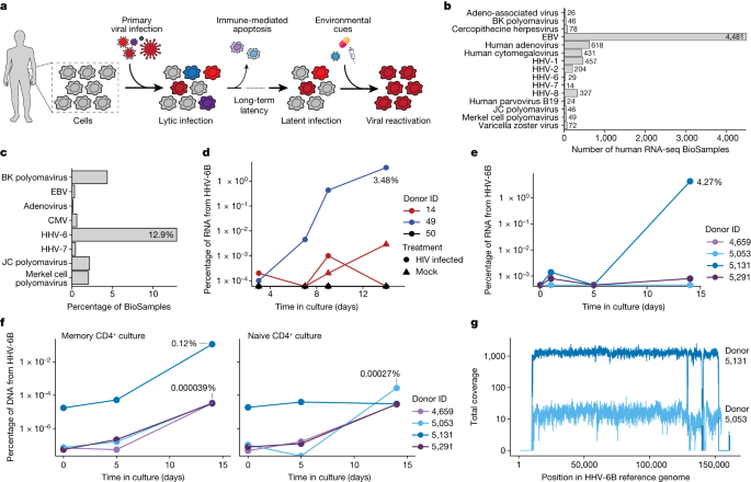 Featured image for Reactivation of Latent Herpesvirus 6 in CAR-T Cancer Therapy