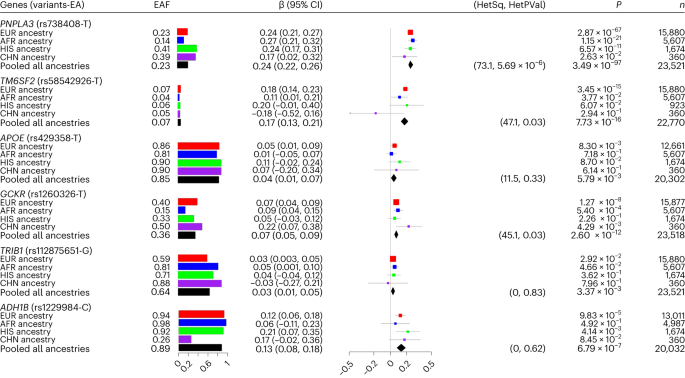 Featured image for 17 Genetic Loci Linked to Nonalcoholic Fatty Liver Disease Identified in Meta-Analysis