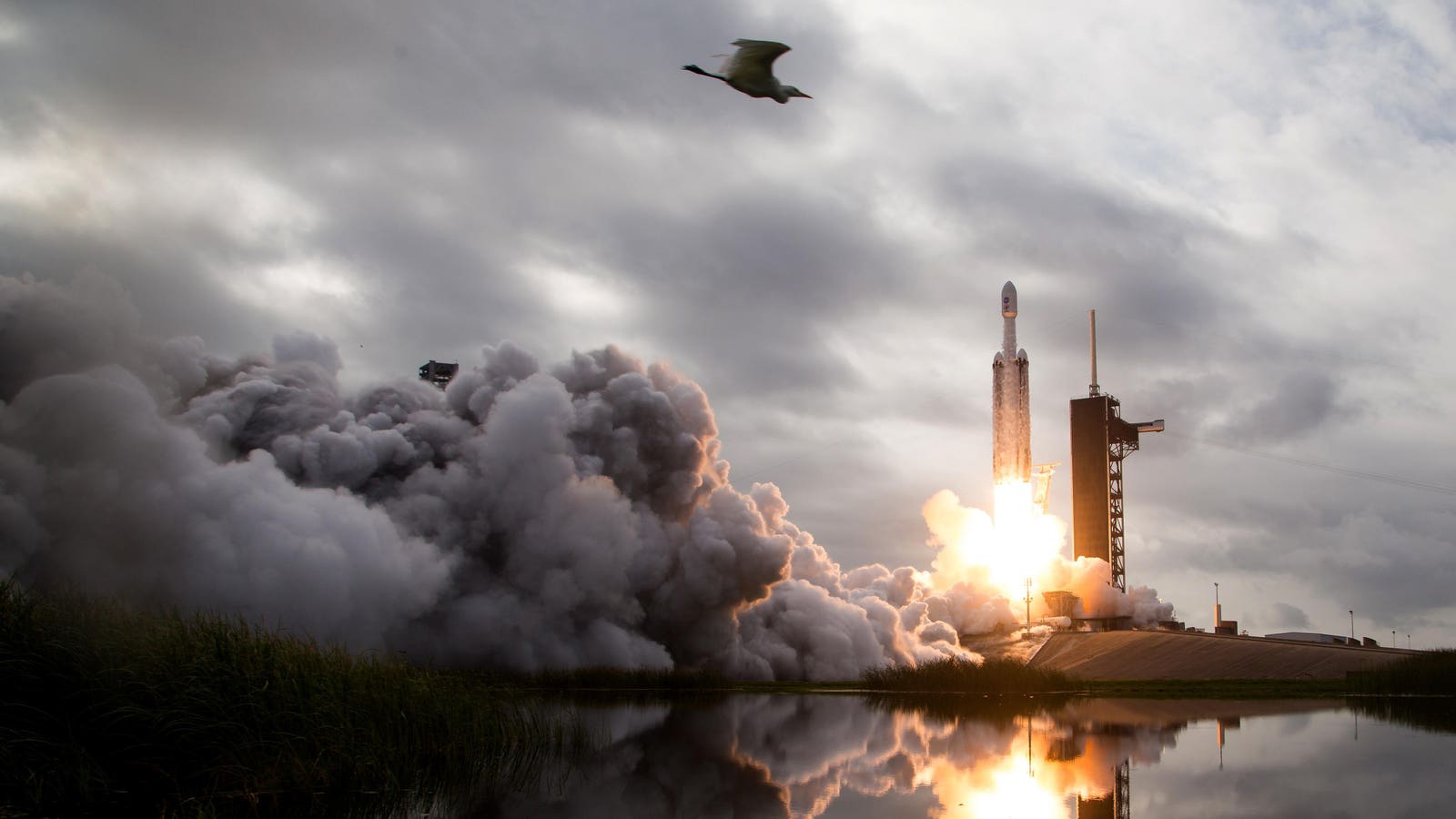 Featured image for "Cargill Maintains Dominance as SpaceX Makes Grand Entrance in America's Largest Private Companies 2023"