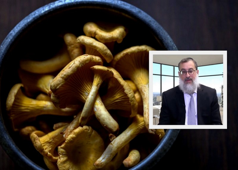 "Crown Heights Therapist's Perspective on Psychedelic Therapy"