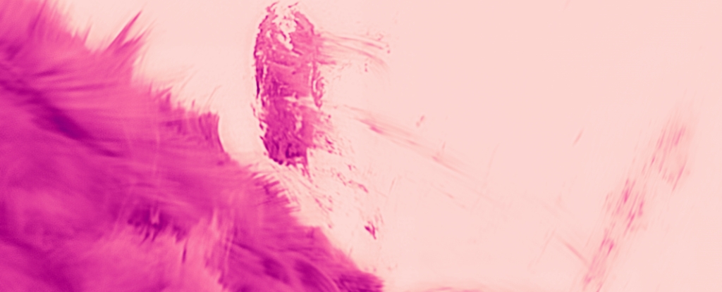 Featured image for Scientists Capture the Sharpest Images of the Sun's Corona