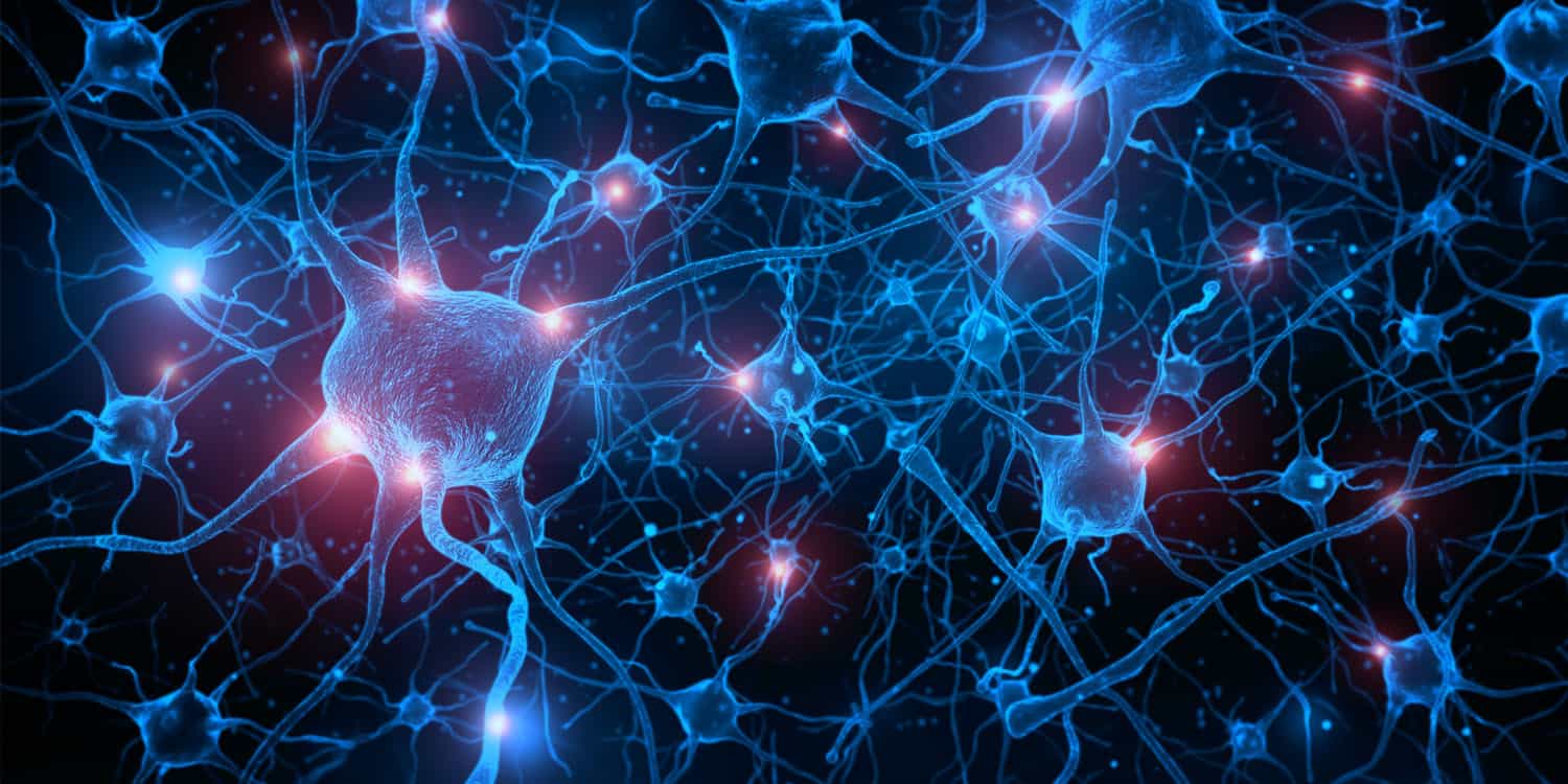 Featured image for "Discovery of Gut-Brain Circuits Unveils Link to Sugar and Fat Cravings"