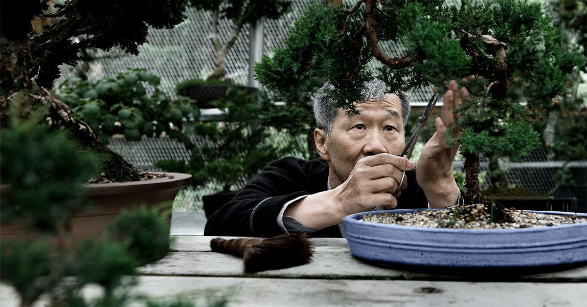 Featured image for "New Protein Research and Plexin-B1 Offer Hope in Halting Alzheimer's Progression"