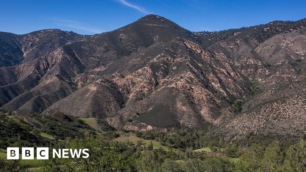 YouTuber Trevor Jacob confesses to plane crash stunt for views.