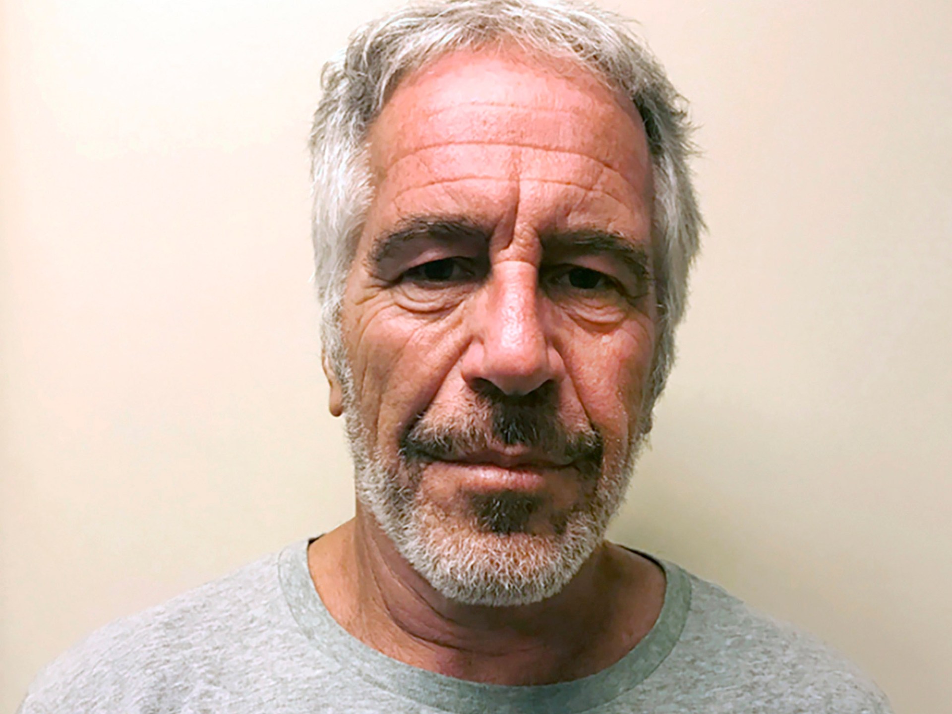 Insights into Jeffrey Epstein's final days and suicide revealed in newly-obtained records.