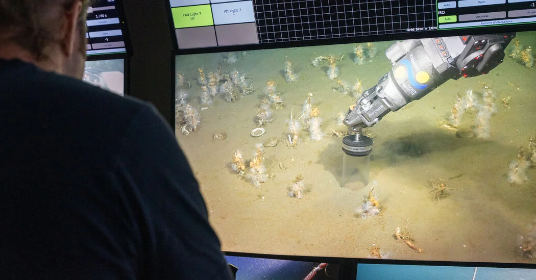 Transitional Microbes Point the Way to Complex Cell Origins