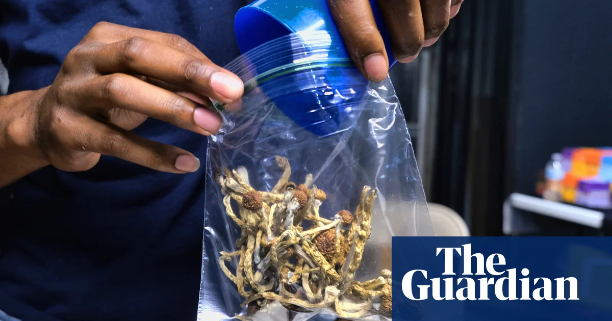 Featured image for California Governor Vetoes Bill Decriminalizing Psychedelic Mushrooms and Hallucinogens