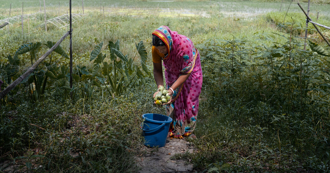 Bangladesh's Rivers at Risk: A Glimpse of Tomorrow's Water Crises.