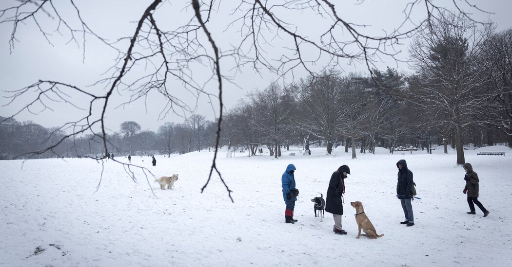 Featured image for "Brutal Arctic Cold Sweeps Across US, Bringing Deadly Storms and Record Low Temperatures"