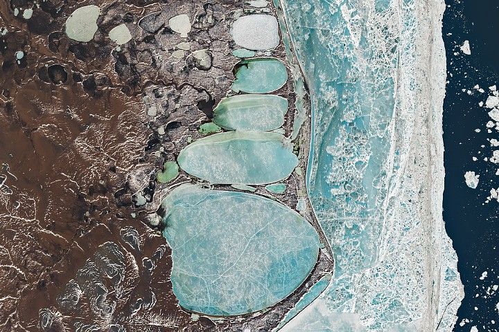 Featured image for Siberian Snowman Spotted in Billings