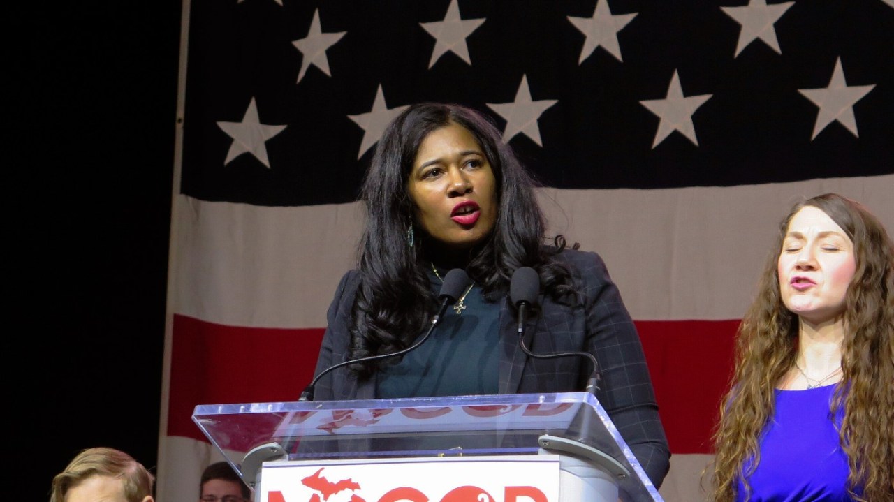 Michigan GOP Chair Stands Firm on Holocaust Comparison in Gun Reform Debate