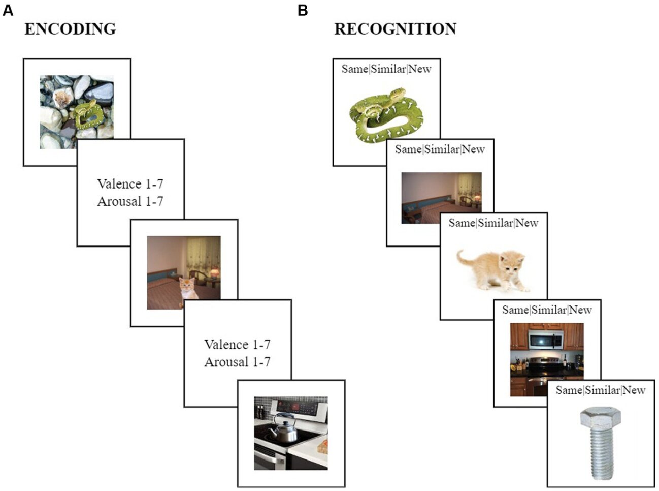 Featured image for "Middle-Aged People Show Early Signs of Positive Attitude Shift: Study"