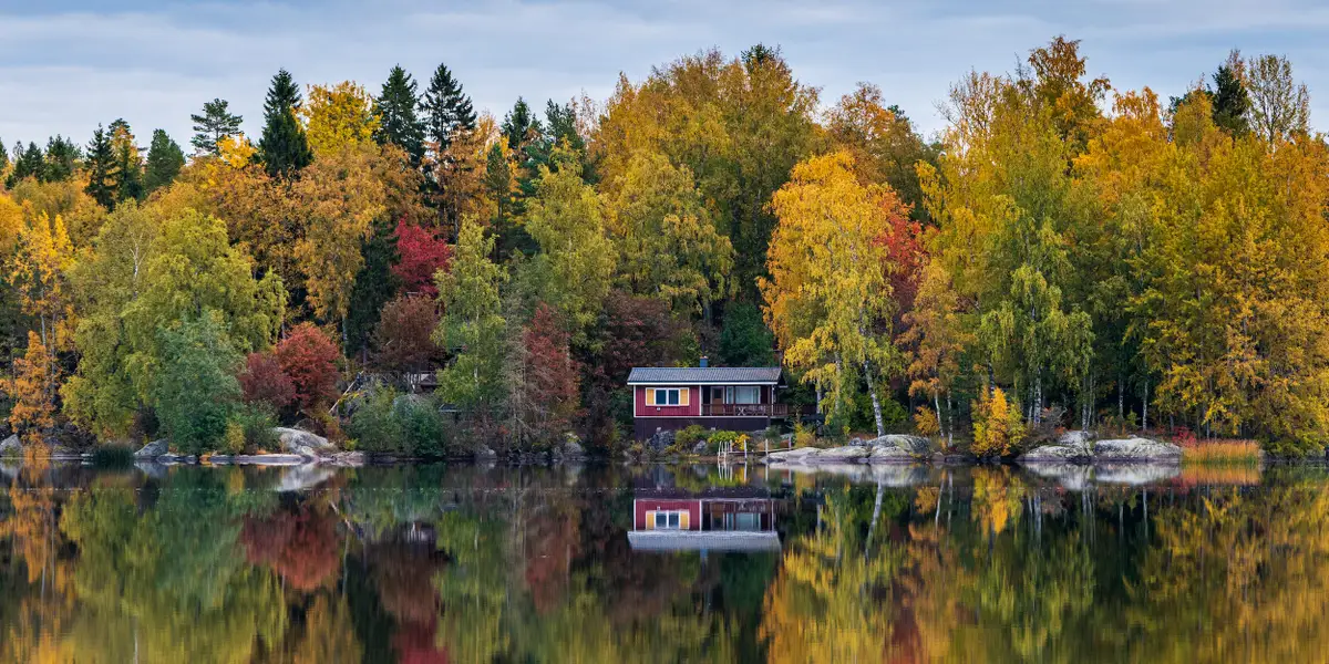 "Learn Happiness for Free: Finland's Gift of Trips"