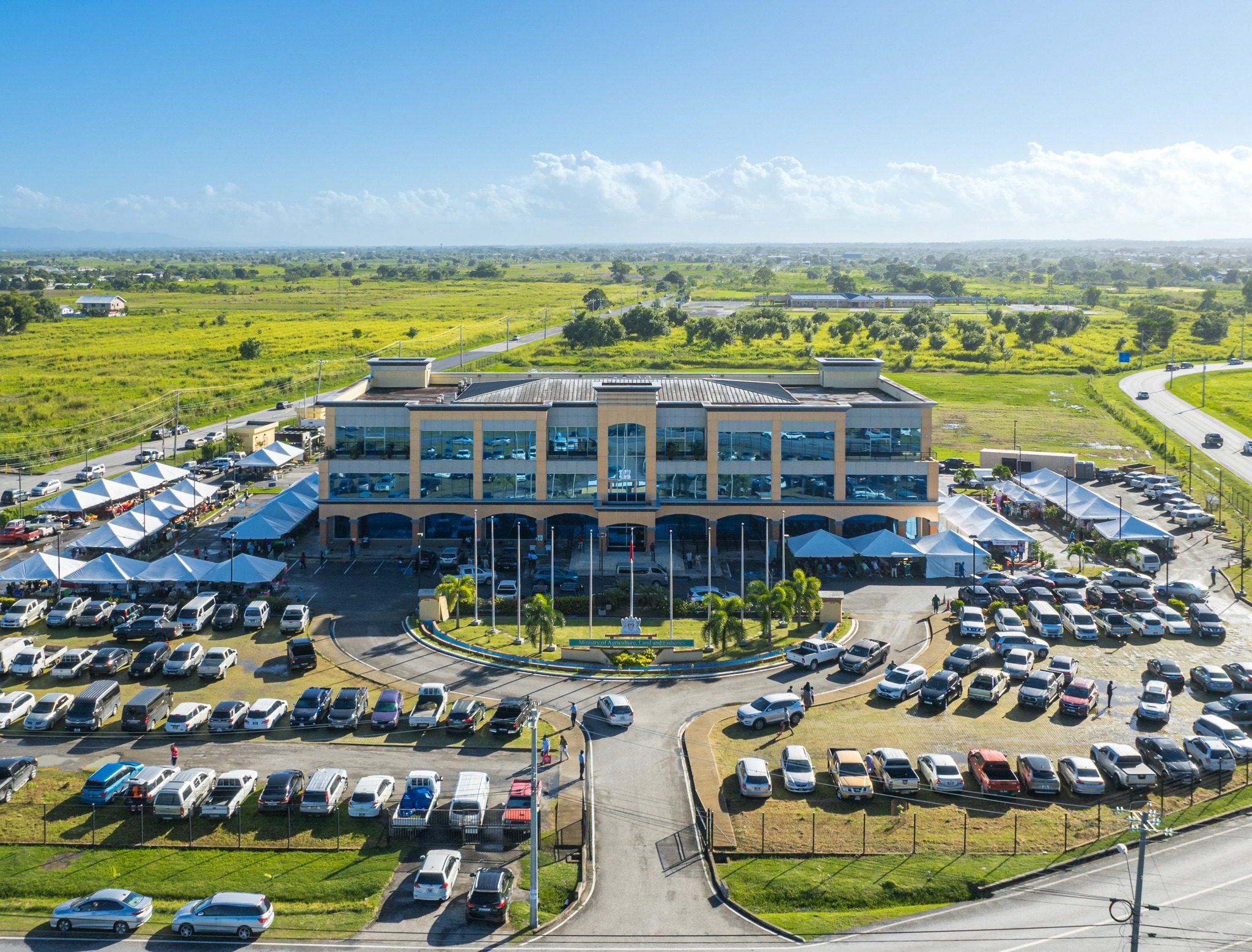 Featured image for Ministry Probes Potential Pig Disease Outbreak