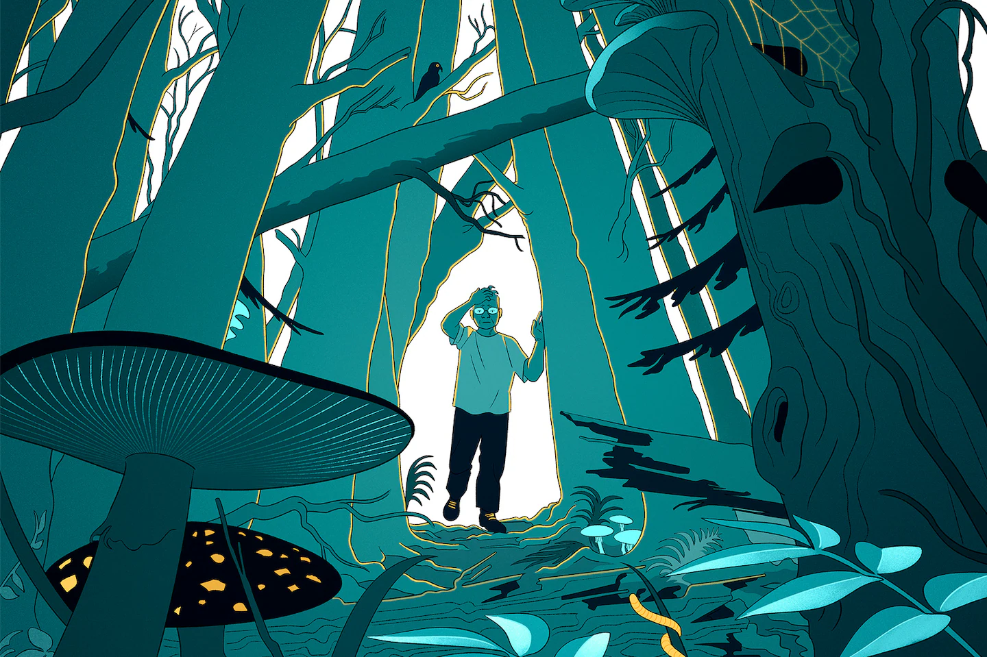 Featured image for Recurrent Illness After Fungal Infection Baffle Doctors